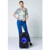 iDance Portable Bluetooth® Sound System + 1 Wireless Microphone ~ 200w
